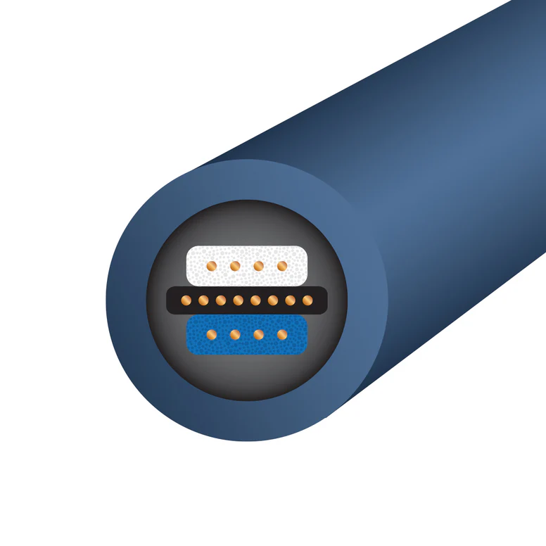 Wireworld Oasis 10 Interconnect Cable